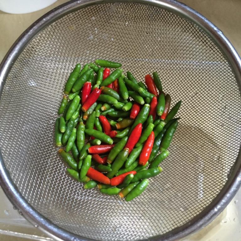 cara membuat cili jeruk
