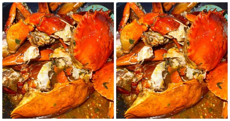 Cara untuk membuat Ketam Masak Sambal alaala Fatty Crab Cara untuk membuat Ketam Masak Sambal alaala Fatty Crab